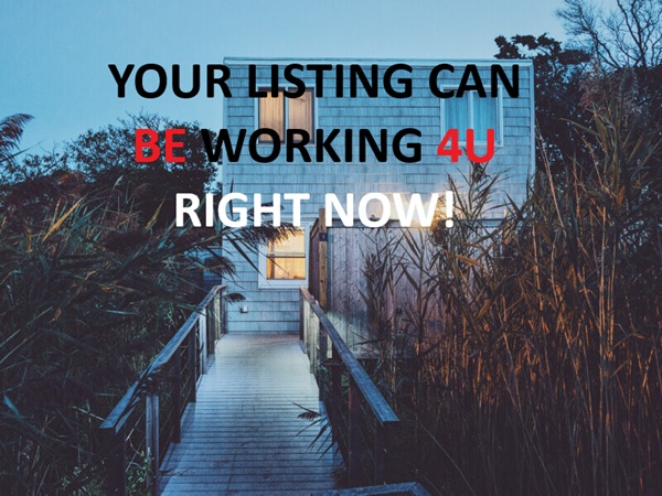 Modern secluded house